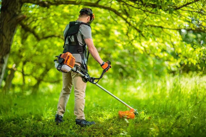 Entretien de jardins